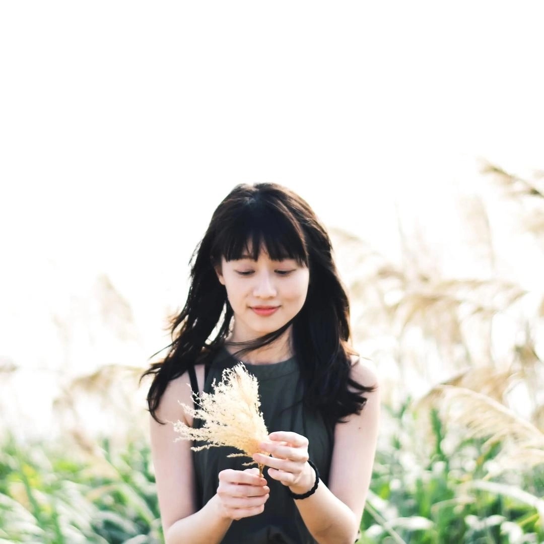 Lily，編導